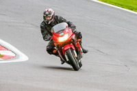 PJ-Motorsport-Photography-2020;anglesey;brands-hatch;cadwell-park;croft;donington-park;enduro-digital-images;event-digital-images;eventdigitalimages;mallory;no-limits;oulton-park;peter-wileman-photography;racing-digital-images;silverstone;snetterton;trackday-digital-images;trackday-photos;vmcc-banbury-run;welsh-2-day-enduro